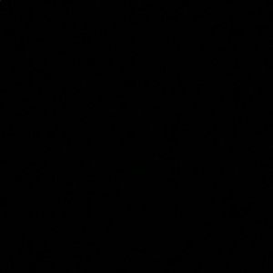 Meet your Posher, Rhonda